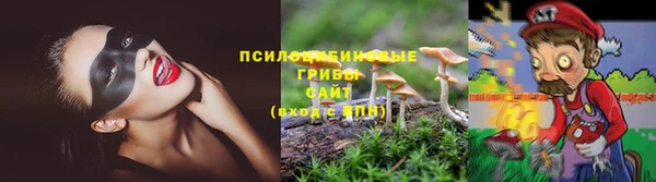 прущая мука Дмитровск