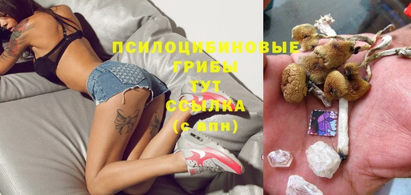 бутират Ельня